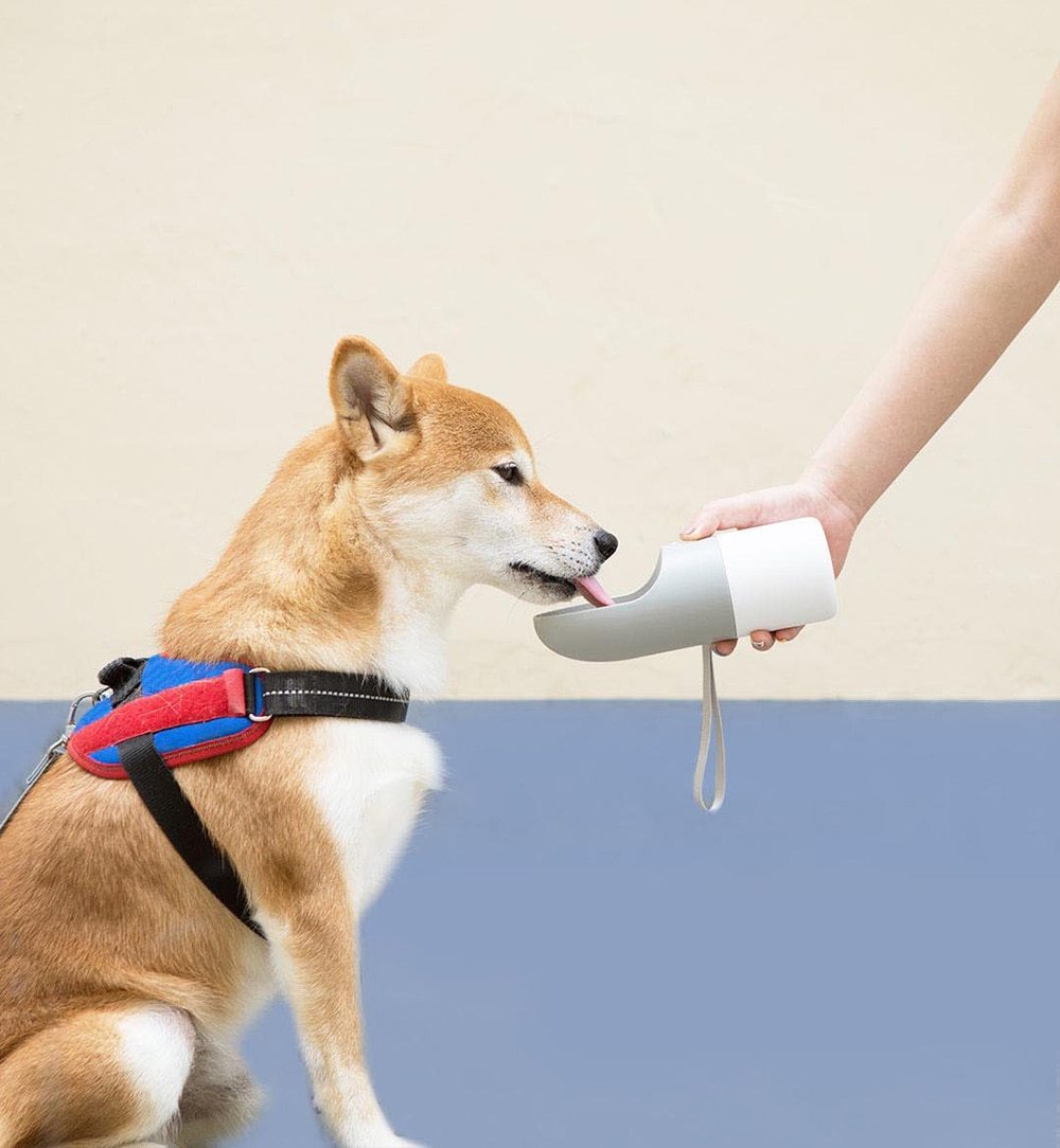 HydraPet - Portable Water Bottle & Cup