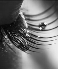 Thumbnail for Max Volume 4D Mascara