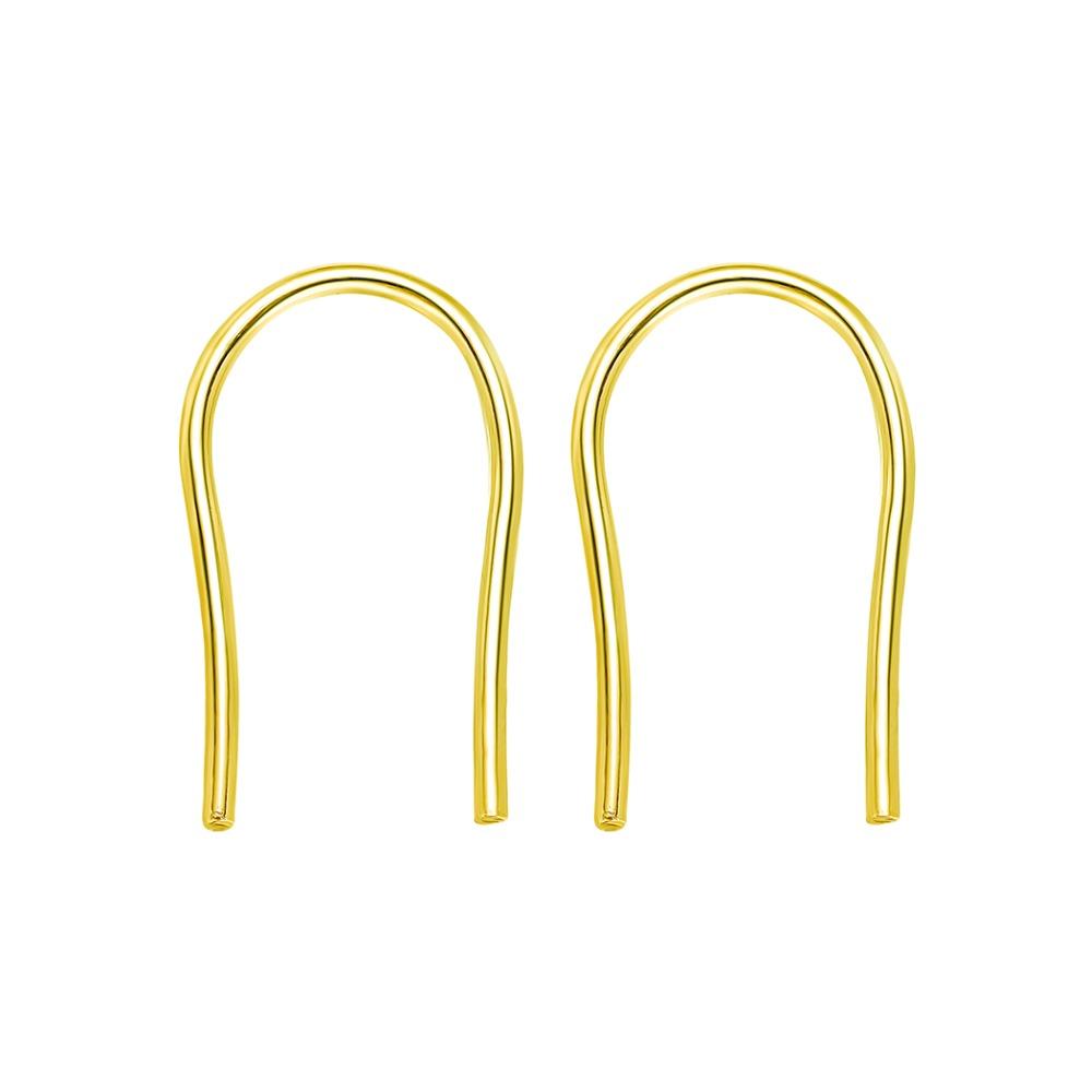 Horseshoe Loop Through Earrings