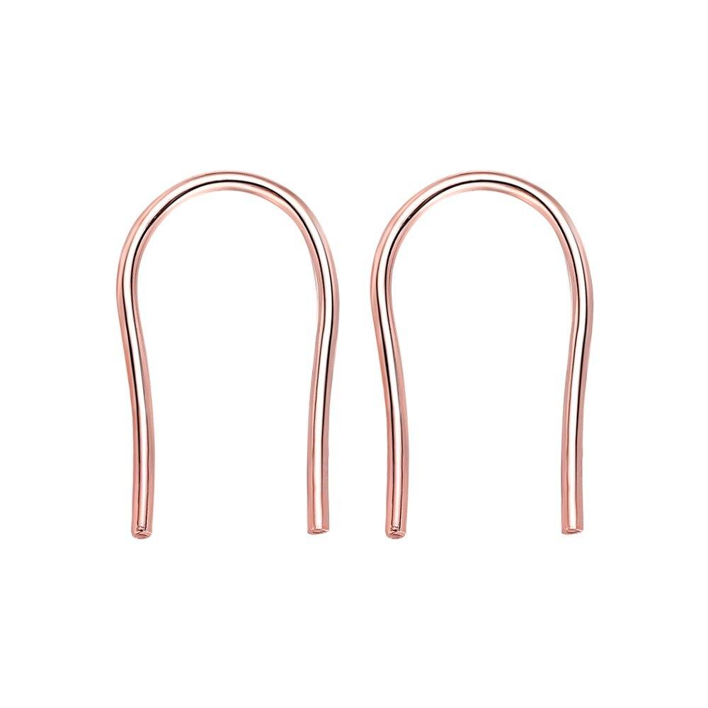 Horseshoe Loop Through Earrings