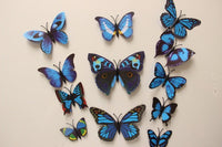 Thumbnail for Butterfly 3D Wall Stickers - 12 Pieces