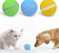 Thumbnail for AutoPlay - Interactive Rolling Pet Toy