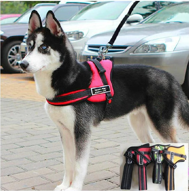 Dog Walking Harness