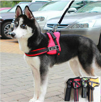 Thumbnail for Dog Walking Harness