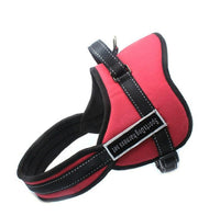 Thumbnail for Dog Walking Harness