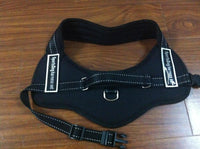 Thumbnail for Dog Walking Harness