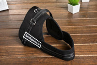 Thumbnail for Dog Walking Harness
