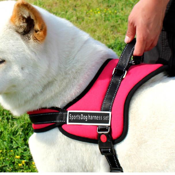 Dog Walking Harness