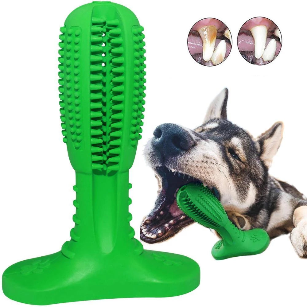 Denchew - Pet Toy Toothbrush