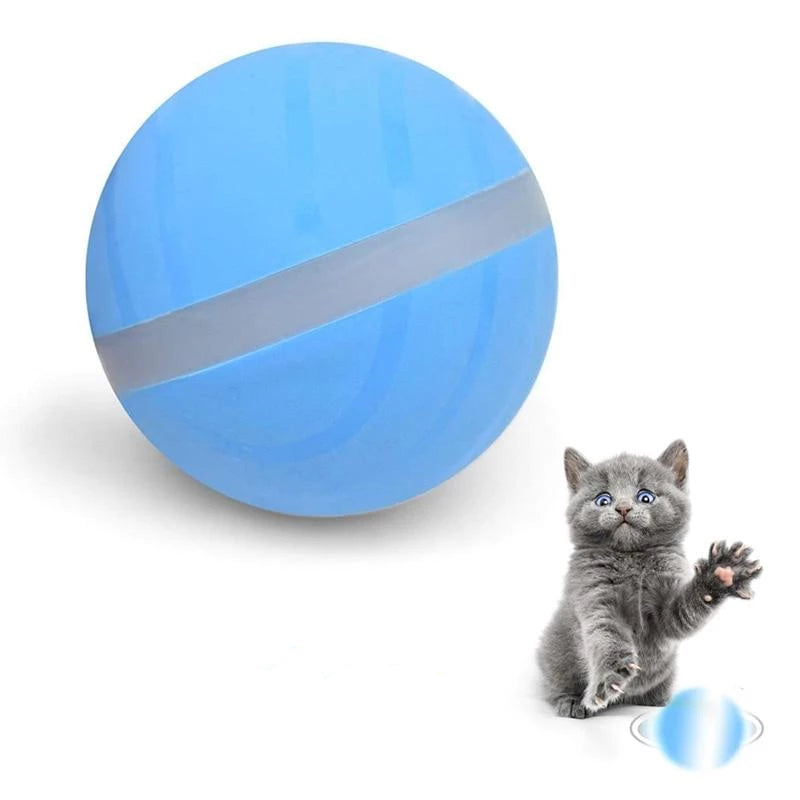 AutoPlay - Interactive Rolling Pet Toy