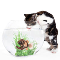 Thumbnail for Battery-Powered Fish Cat Toy Water Activated LED Swimming Fish Toy Cat Fish Toys with Aquatic Weed & Screwdriver for Cats