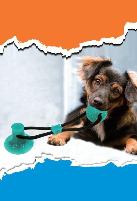 Max - Wall Hanging Pet Toy Ball