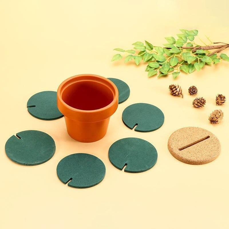 Cactus Coaster Set PeekWise