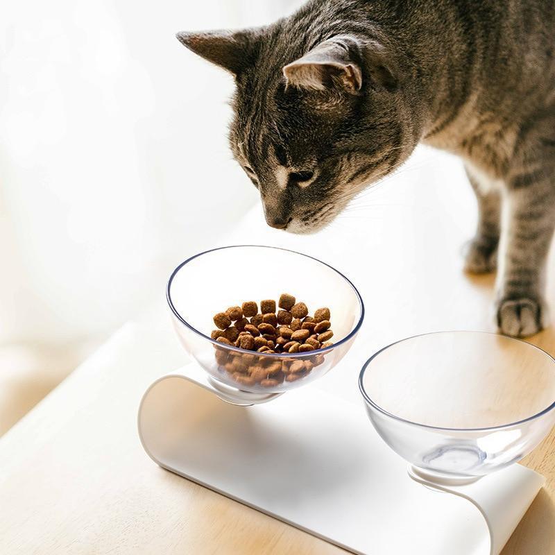 Raised Small Pet Bowls