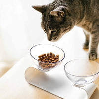 Thumbnail for Raised Small Pet Bowls