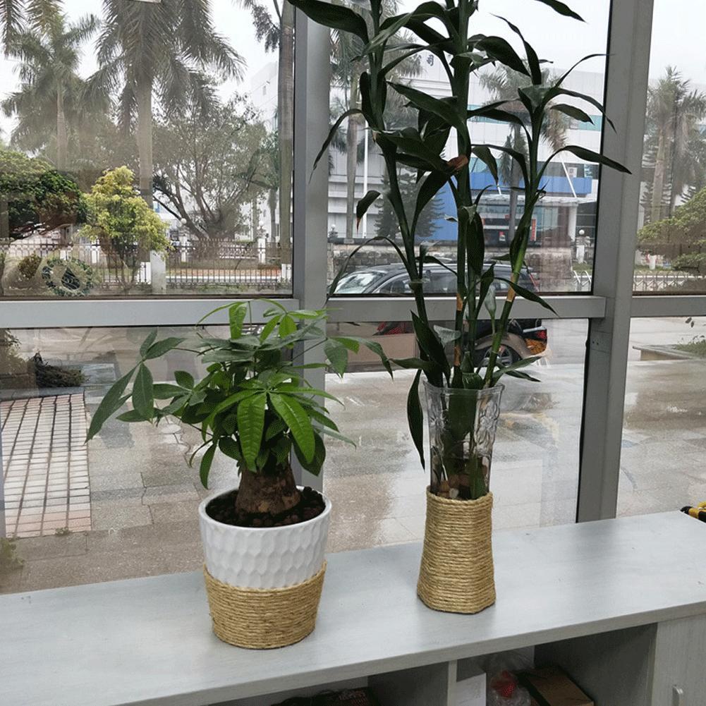 Cactus Cat Climbing Frame Rope