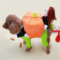 Thumbnail for Dog Pumpkin Halloween Costume