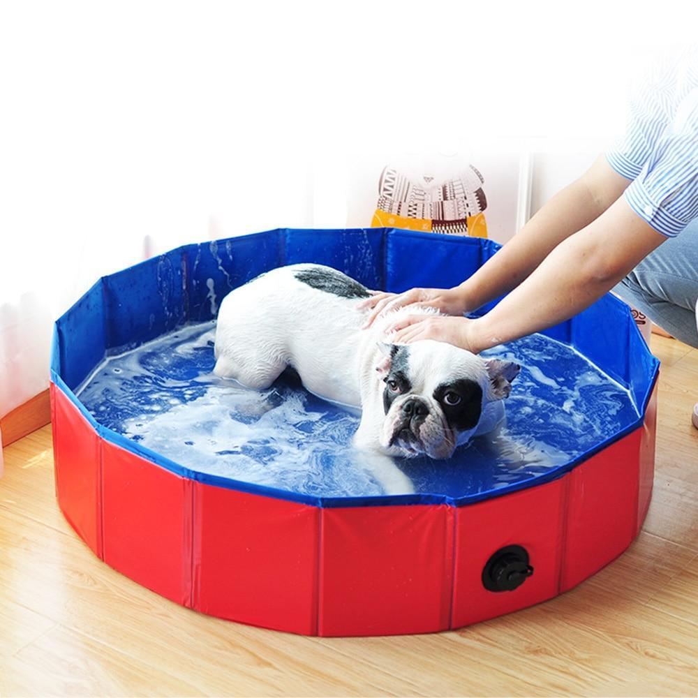 Portable Paw Pool