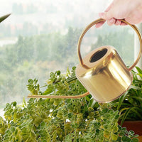 Thumbnail for Josi Watering Can PeekWise