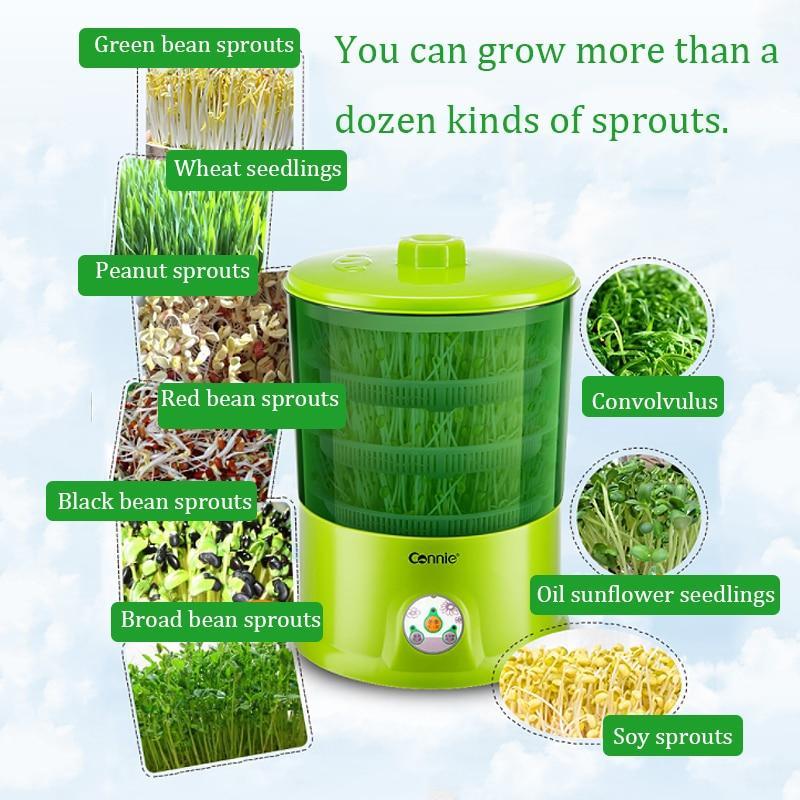 Automatic Sprouter Machine