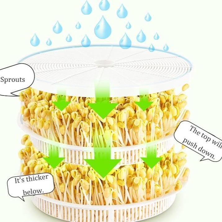 Automatic Sprouter Machine