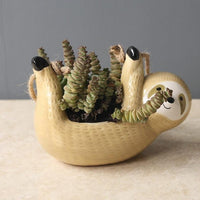 Thumbnail for Hanging Sloth Pot PeekWise