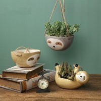 Thumbnail for Hanging Sloth Pot PeekWise