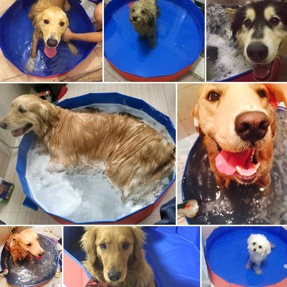 Portable Paw Pool