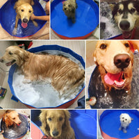 Thumbnail for Portable Paw Pool