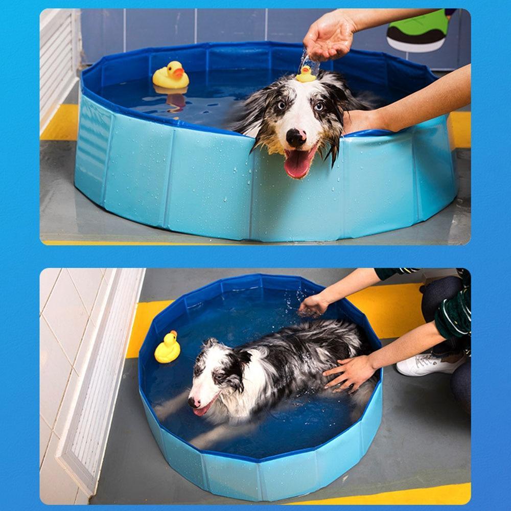 Portable Paw Pool
