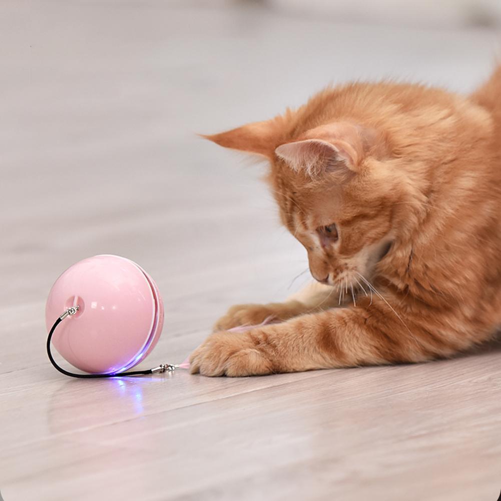 Interactive Cat Toy Ball
