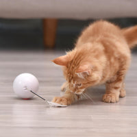 Thumbnail for Interactive Cat Toy Ball