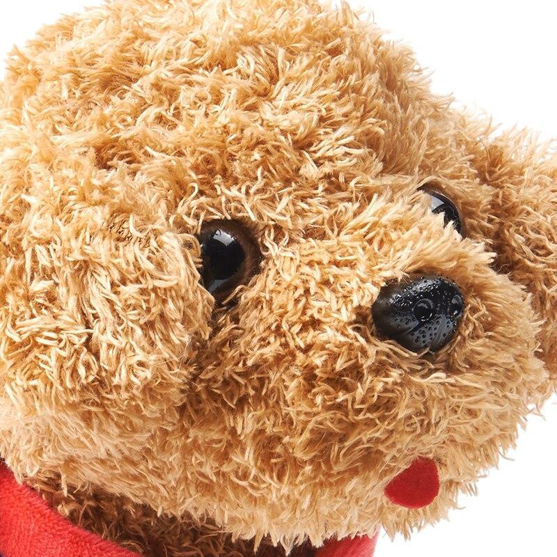 Realistic Teddy Dog
