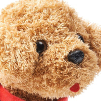 Thumbnail for Realistic Teddy Dog