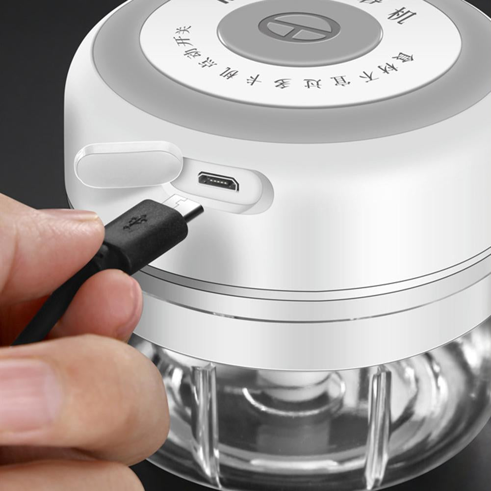 Mini Electric Food Chopper