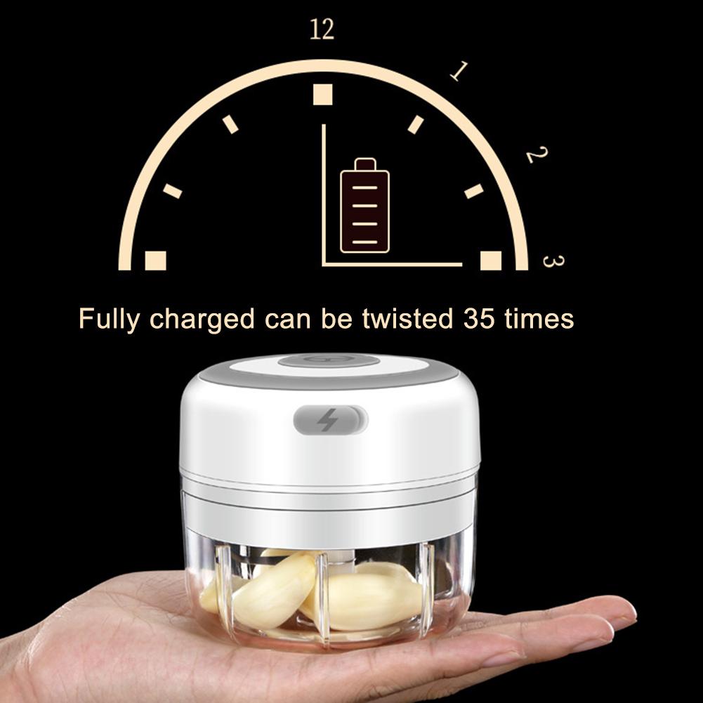 Mini Electric Food Chopper
