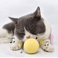 Thumbnail for Interactive Gravity Squeaky Cat Toy Ball