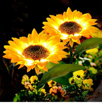 Thumbnail for product-image