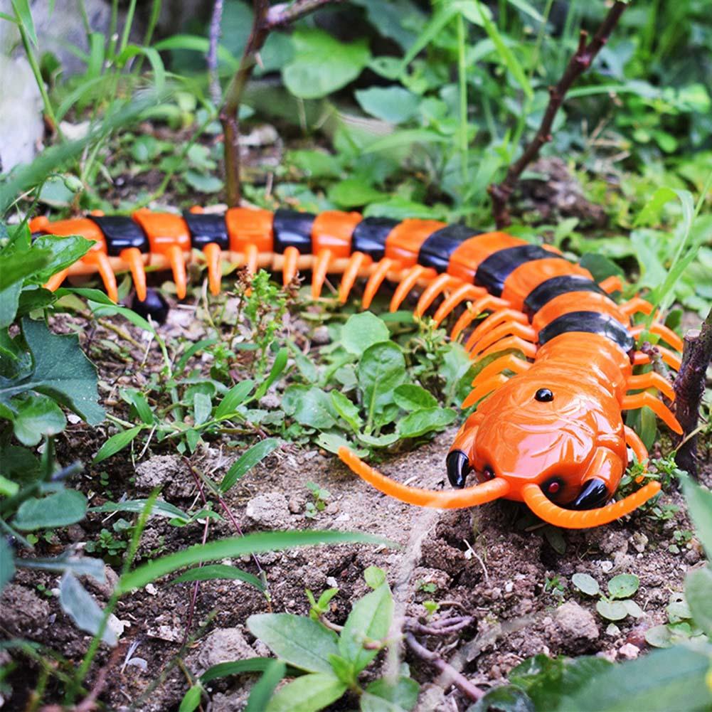 RC Simulation Centipede Toy