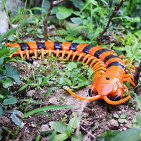 Thumbnail for RC Simulation Centipede Toy