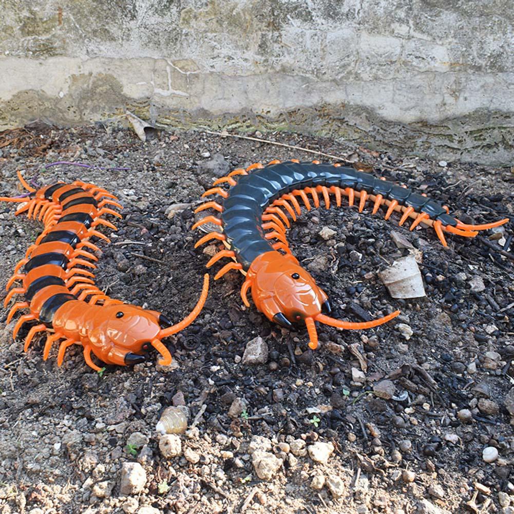 RC Simulation Centipede Toy