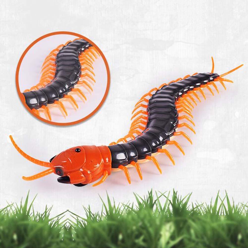 RC Simulation Centipede Toy
