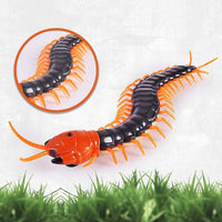Thumbnail for RC Simulation Centipede Toy