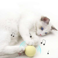 Thumbnail for Interactive Gravity Squeaky Cat Toy Ball