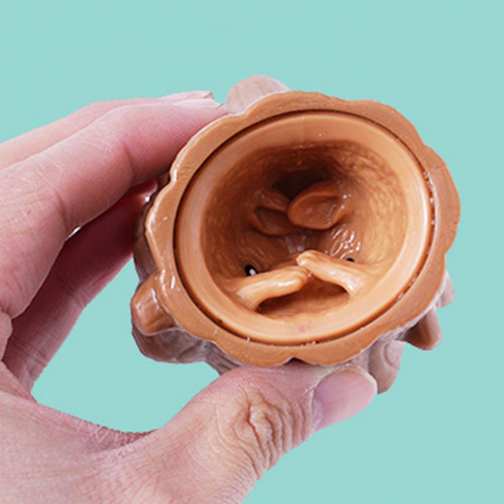 Squeeze Squirrel Toys