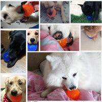 Thumbnail for Gumdrop Ball Dog Toy