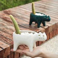 Thumbnail for Kat Pot PeekWise