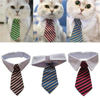 Thumbnail for Sugar & Cotton's Famous Pet Neckties