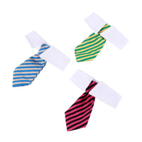 Thumbnail for Sugar & Cotton's Famous Pet Neckties