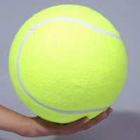 Thumbnail for The Giant Tennis Ball